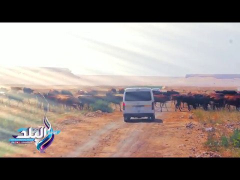 صدى البلد | انتظرونا غدا فى مغامرة صدى البلد للكشف عن اسرارا التنقيب عن الاثار فى جبال المنيا