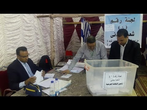صدى البلد | بدء أعمال الفرز بانتخابات المهندسين في أسيوط.