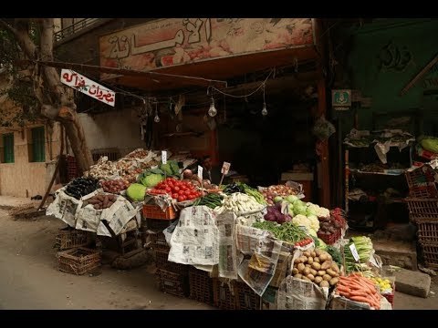 صدى البلد | تعرف على أسعار الخضروات واللحوم والأسماك بالأسواق