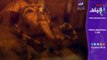 صدي البلد | مصر تعيد فتح مقبرة توت عنخ آمون