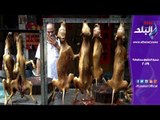 صدي البلد | ذبح الكلاب يعتبر وجبة مُفضلة لمعظم سكان آسيا