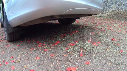 2005 Mercedes-Benz E200 Kompressor - Full Take Review