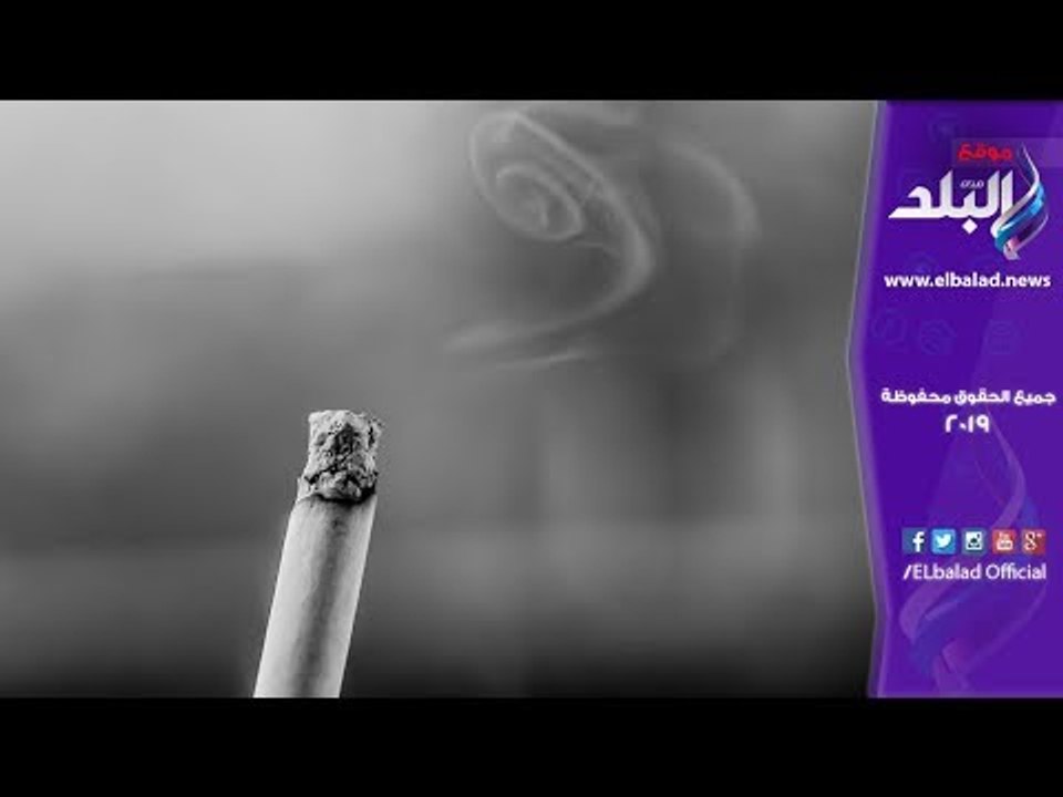 صدى البلد | مصادرة 14800 علبة سجائر مجهولة المصدر بالفرافرة