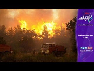 صدى البلد | البرق يتسبب في 100 حريق ضخم بأستراليا