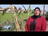 صدى البلد | العمدة عزة: السيسي أعطى مكانة كبيرة للمرأة المصرية