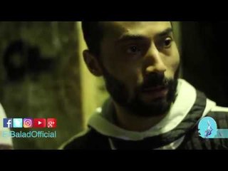 صدى البلد | القط يدفع حياته ثمناً لوقوفه بجانب صديقه