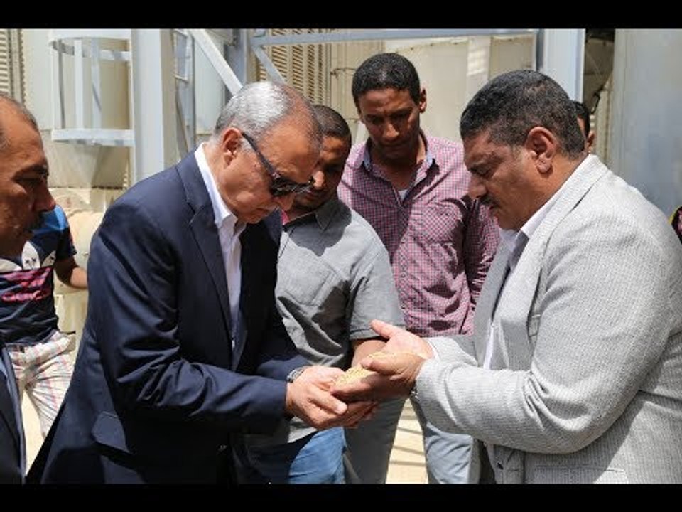 صدى البلد |محافظ قنا يشهد بدء موسم توريد القمح بصوامع الترامسة والمراشدة