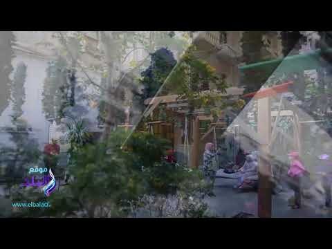 صدى البلد | شوارع وسط البلد تتزين بالأشجار والورود احتفالا بعيد الربيع