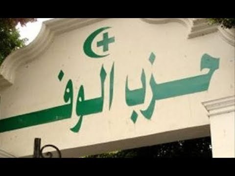 صدى البلد | بدء فرز أصوات الجمعية العمومية للوفد على تعديلات اللائحة وانتخابات رئاسة الحزب