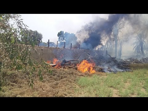 صدى البلد | انتشار حرائق استراحات الرى بنجع حمادى والدفع بسيارات إطفاء إضافية