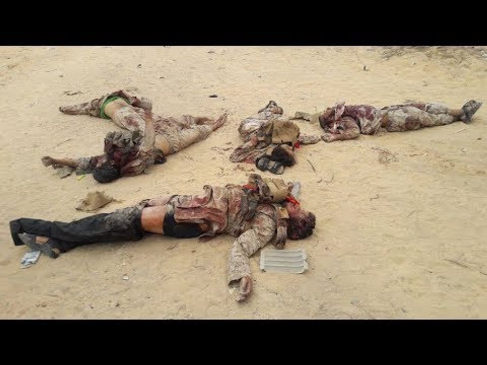 ست الستات - شاهد كيف استطاع أبطال الجيش وقف تقسيم الشرق الاوسط وانهيار الدول العربية
