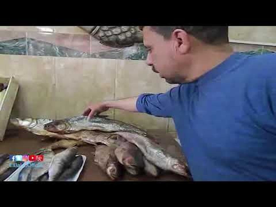 صدى البلد | أقبال ملحوظ على شراء الفسيخ والرنجة بالفيوم