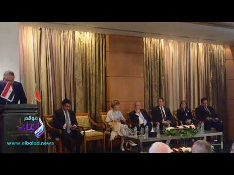 صدى البلد | الوكيل: الاستقرار السياسى والاقتصادى فى مصر أصبح حقيقة وليس حلما