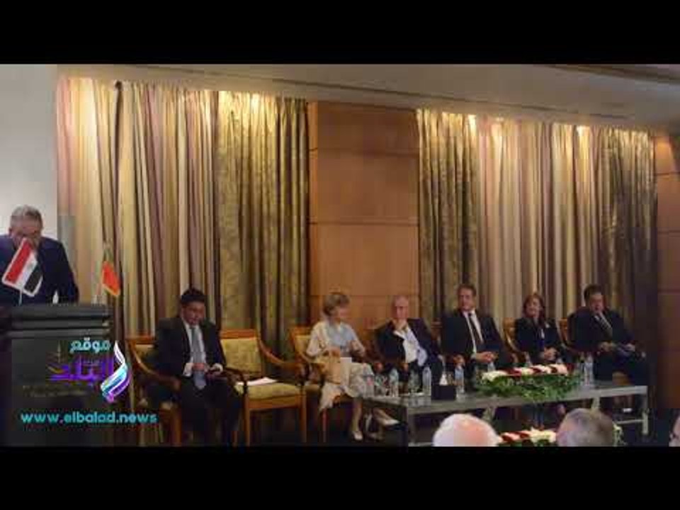 صدى البلد | الوكيل: الاستقرار السياسى والاقتصادى فى مصر أصبح حقيقة وليس حلما
