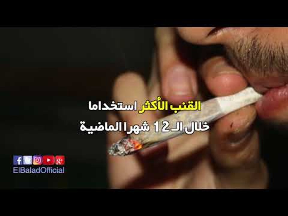 صدى البلد | 0.50% من طلاب المدارس يدخنون الحشيش و0.42% يشربون الخمور