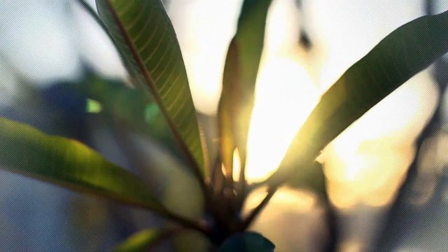 A vendre - Appartement - Bulle (1630) - 3.5 pièces - 88m²