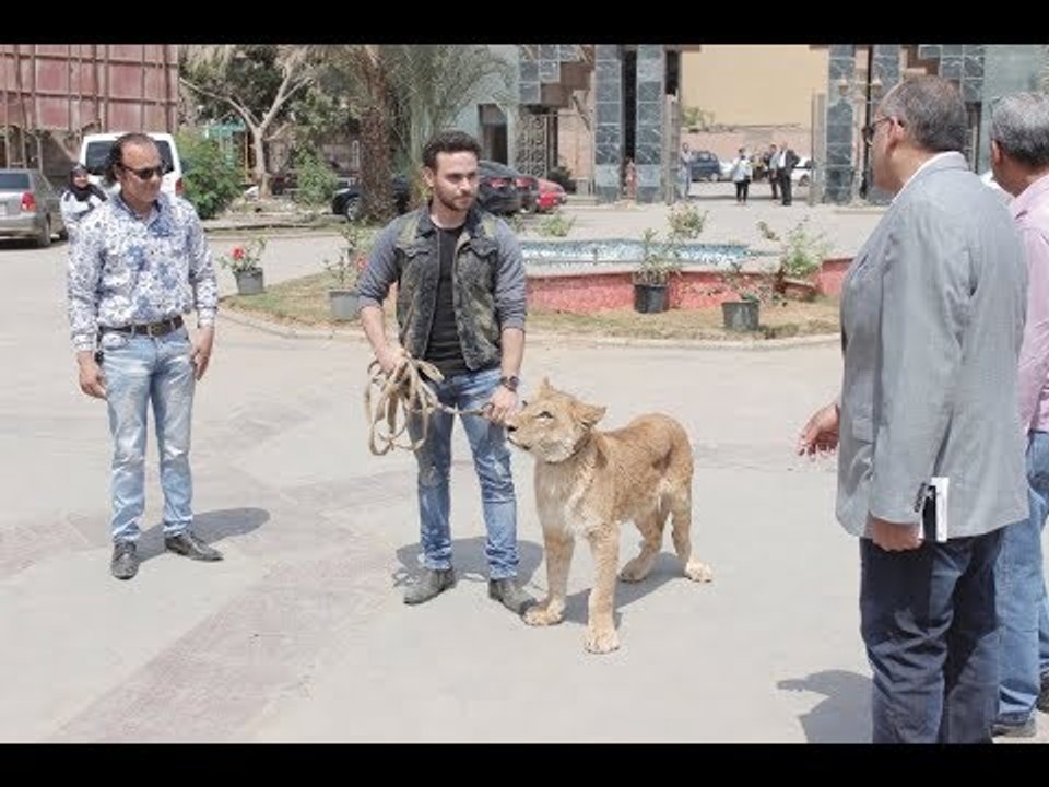 صدى البلد | أكاديمية الفنون تستعين بـ "أسد" لافتتاح قاعة ثروت عكاشة