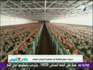 تحريك دعاوي قضائية ضد سماسرة الدواجن البيضاء بسبب ؟