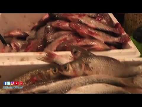 صدى البلد | محافظ الغربية يفتتح معرض أهلا رمضان