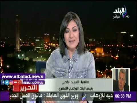 صدى البلد | رئيس البنك الزراعي: ضعف الإقبال على شهادة أمان بسبب تراجع الدور الإعلامي