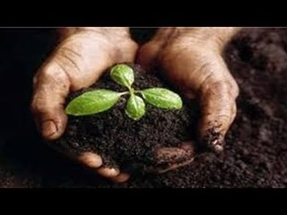 صدى البلد |  6 فضائل للعمل في الإسلام .. تعرف عليها