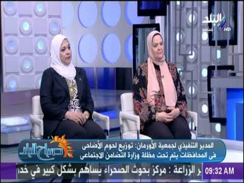 صباح البلد - كل ما تريد أن تعرفه عن صكوك الأضحية من مصر الخير - الأورمان