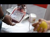صدى البلد | حكم التبرع بالدم اثناء الصيام