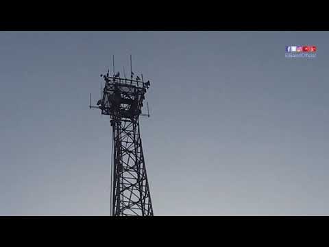 صدى البلد | شاهد.. اللقطات الاولي لمحاولة شاب القفز من اعلي برج كهرباء بالمهندسين