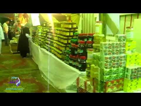 صدى البلد |محافظ الفيوم : 70 ألف زريعة جمبرى ببحيرة قارون خلال أيام