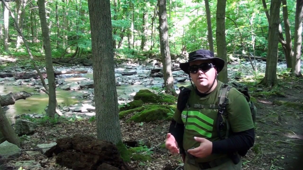 Visit to Rockway Falls