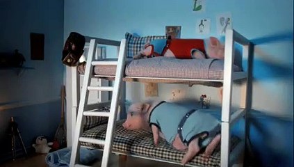 Lulu Bunny Fables Presents NY Lotto Cute Puppy and baby animal Video