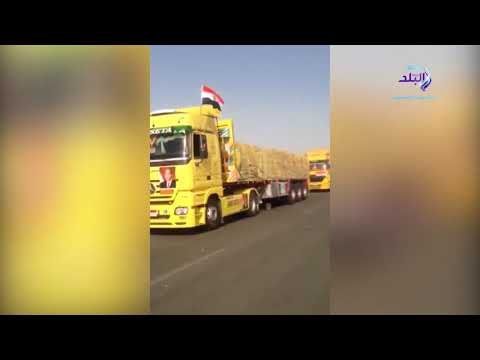 صدى البلد | مصر ترسل قوافل مساعدات طبية وغذائية جديدة للشعب الفلسطيني