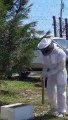 Il déloge un essaim d'abeilles en plein jardin !