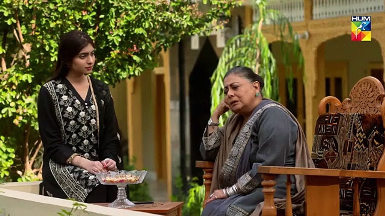 Anaa Epi 04 HUM TV Drama 10 March 2019