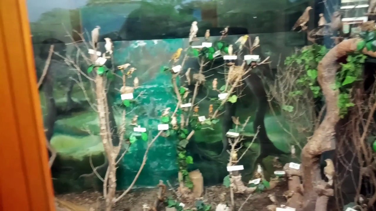 Can Parelladenses en Menorca- Museo-Marzo2019