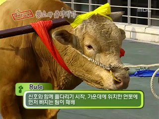 철원출장안마 -신용100%ョØ7Øg7575vØØ62{문의톡OYO78}철원전지역출장마사지샵'철원출장안마'철원출장마사지황형'출장안마'ゃやゅ출장여대생'출장마사지'콜걸