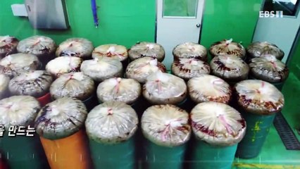 장수출장안마 -100%미인ョØ7Øn7575vØØ62【문의톡OYO78】장수전지역출장마사지샵장수출장안마'장수출장마사지황형'출장안마'ωÆÐ출장만남출장만남