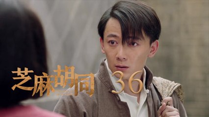 芝麻胡同 36 | Memories Of Peking 36（何冰、王鷗、劉蓓等主演）