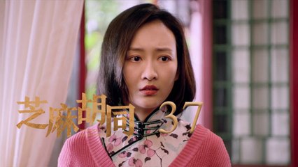 芝麻胡同 37 | Memories Of Peking 37（何冰、王鷗、劉蓓等主演）