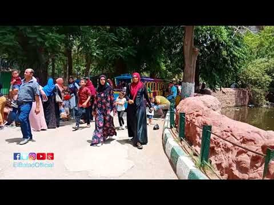 صدى البلد |رغم ارتفاع  درجات الحرارة اقبال كبير على حديقة الحيوان ثانى ايام العيد