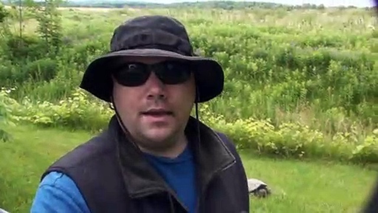 Snapping Turtle Discovery