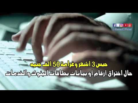 صدى البلد | عقوبات صارمة لمواجهة جرائم الانترنت