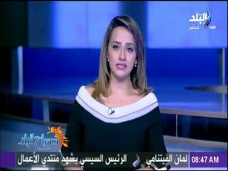 صباح البلد - قمة مصرية فيتنامية ناجحة في هانوي