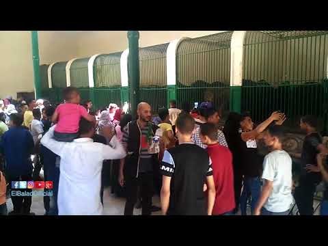 صدى البلد | زحام على بيت السباع وبيت الفيل فى حديقة الحيوان