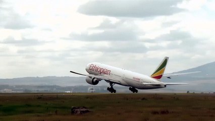 157명 탄 에티오피아 여객기 추락..."전원 사망" / YTN