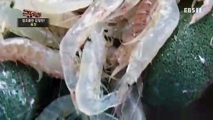 인제출장안마 -100%미인ョØ7Øf7575dØØ69【문의톡MGM1472】인제전지역출장마사지샵인제출장안마'인제출장마사지황형'출장안마'ёжз출장만남출장만남