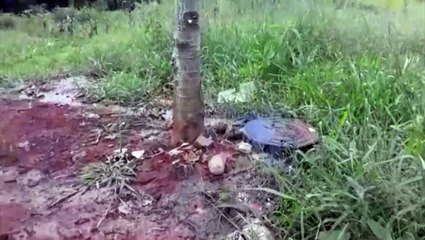 Vazamento de esgoto traz incômodo a moradores no Cataratas