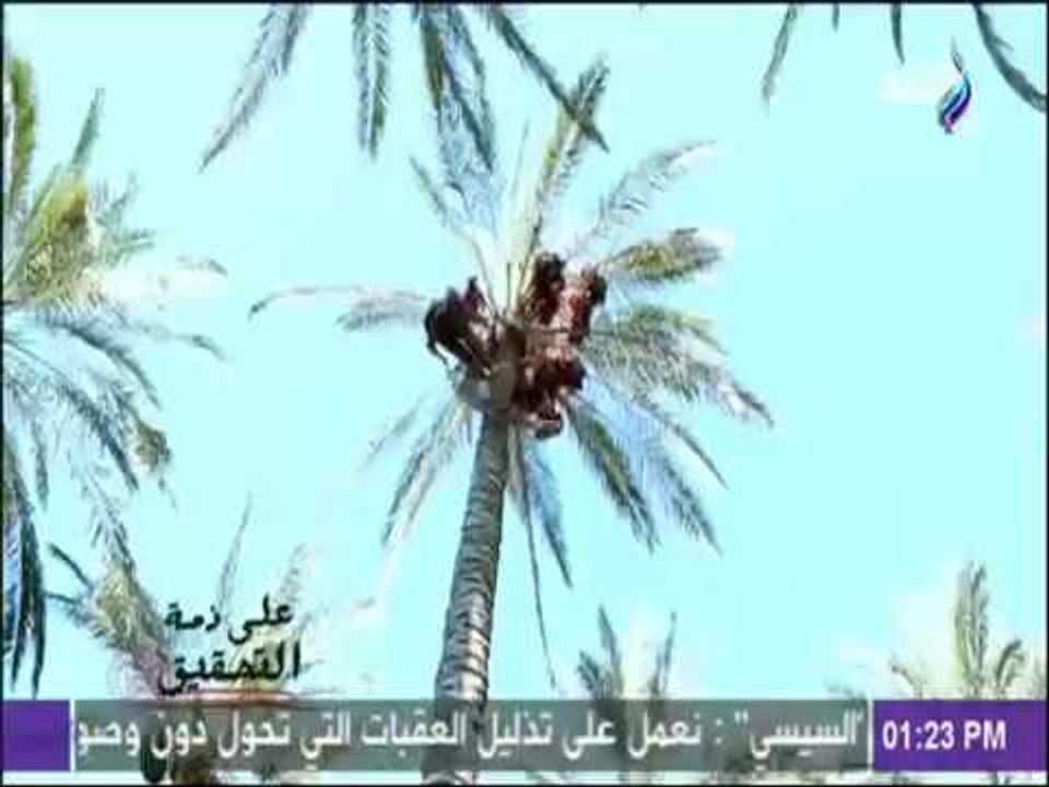 على ذمة التحقيق - شاهد السبب الرئيسي لمعاناة المنتجات المصرية المحلية