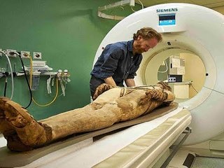 صباح البلد - أضحك من قلبك أستاذ قفة فرعون كان اسمة وليد وامه اسمها رشا