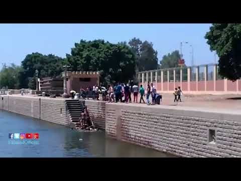 صدى البلد | الشباب يسبحون في نيل القناطر احتفالا بالعيد